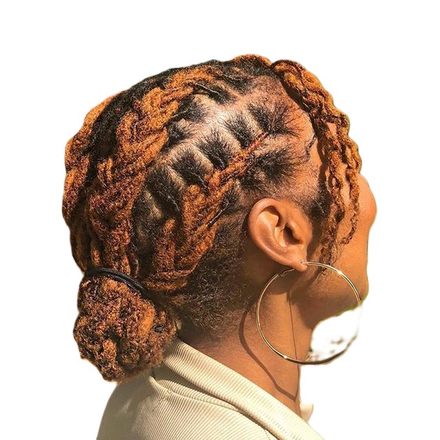 Locs and protective hairstyle by Glow & LushLocks Beauty Salon